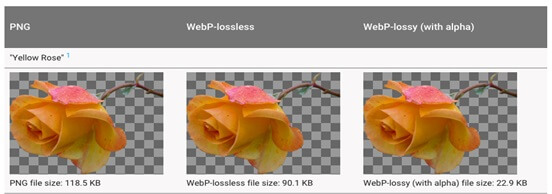 jpg versus webp afbeeldingen